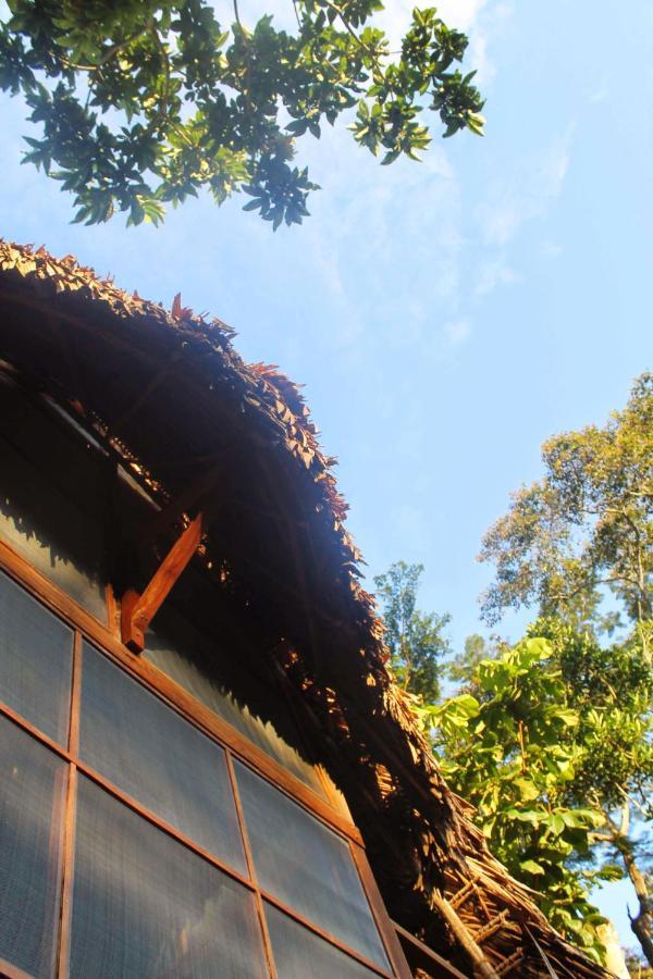 Shimiyacu Amazon Lodge 塔拉波托 外观 照片