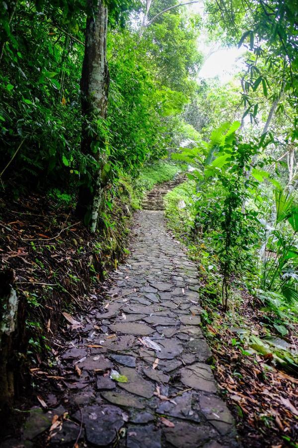 Shimiyacu Amazon Lodge 塔拉波托 外观 照片