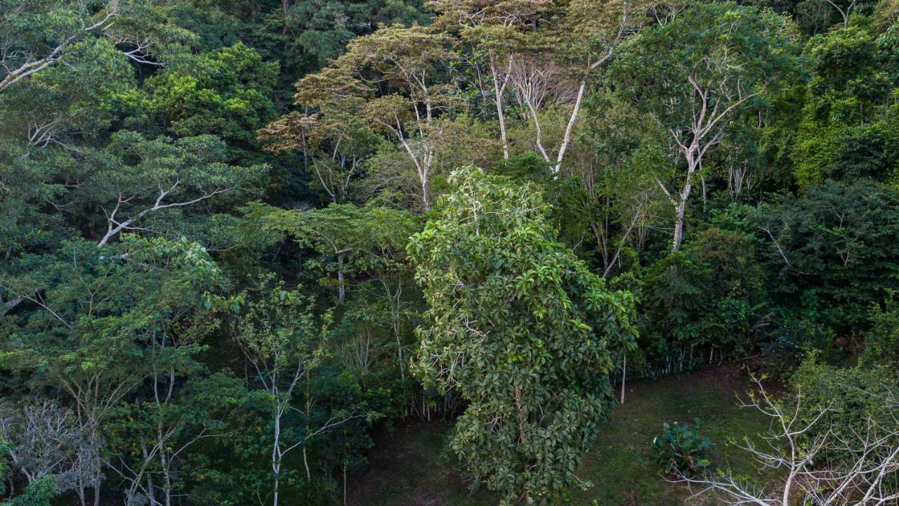 Shimiyacu Amazon Lodge 塔拉波托 外观 照片