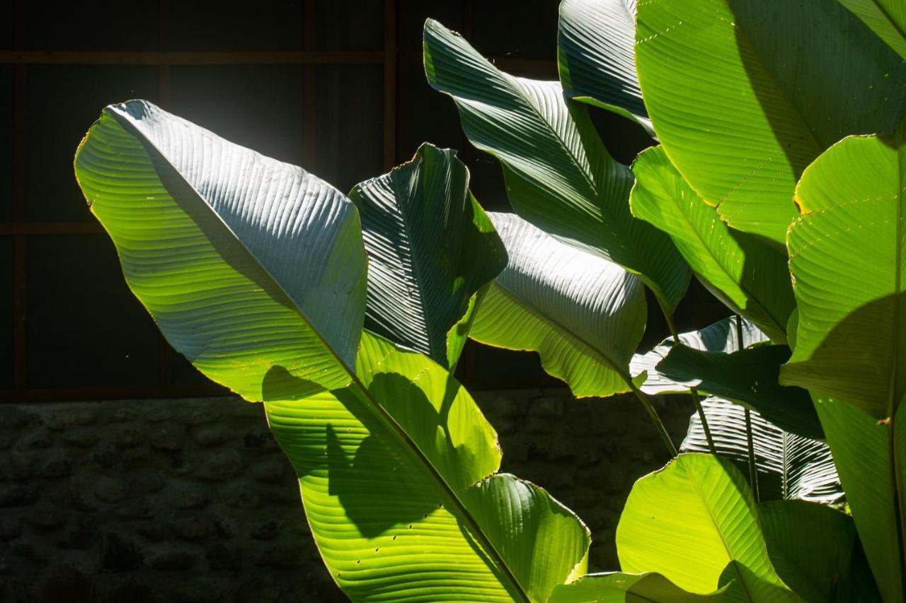 Shimiyacu Amazon Lodge 塔拉波托 外观 照片