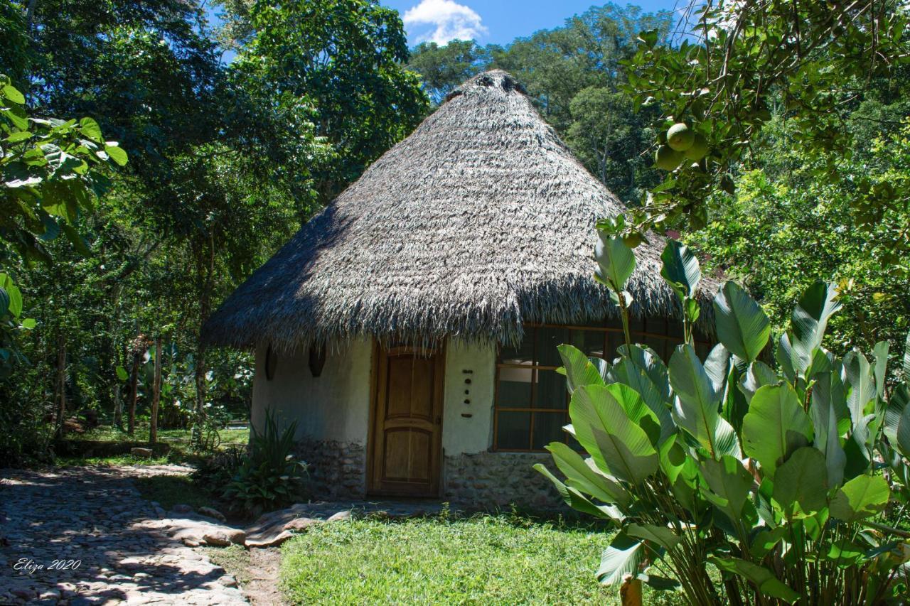 Shimiyacu Amazon Lodge 塔拉波托 外观 照片