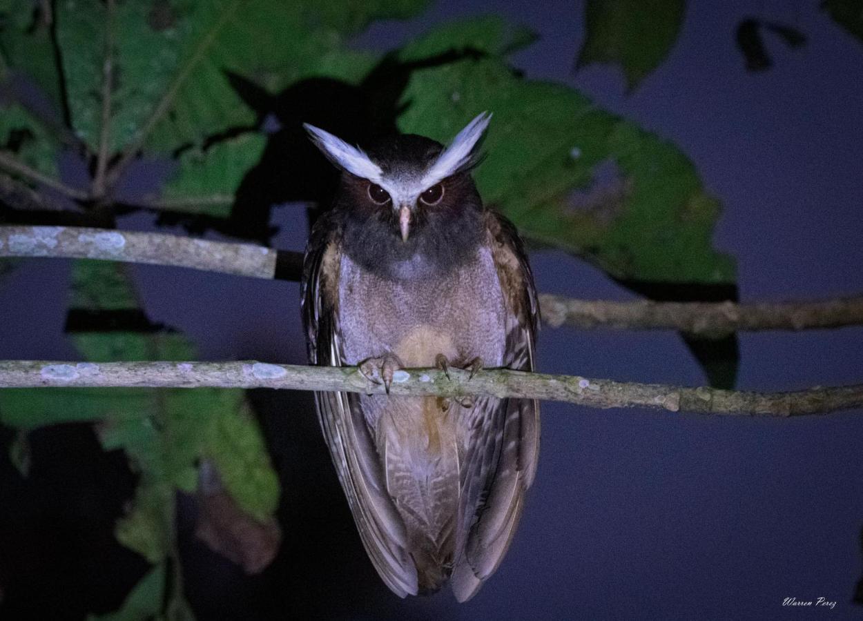 Shimiyacu Amazon Lodge 塔拉波托 外观 照片